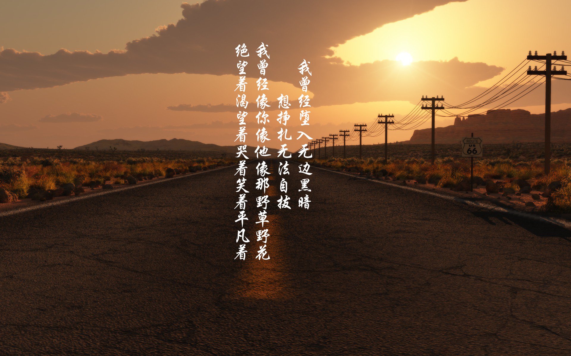 多面手风采：篮球场上的全能战士，多样篮球