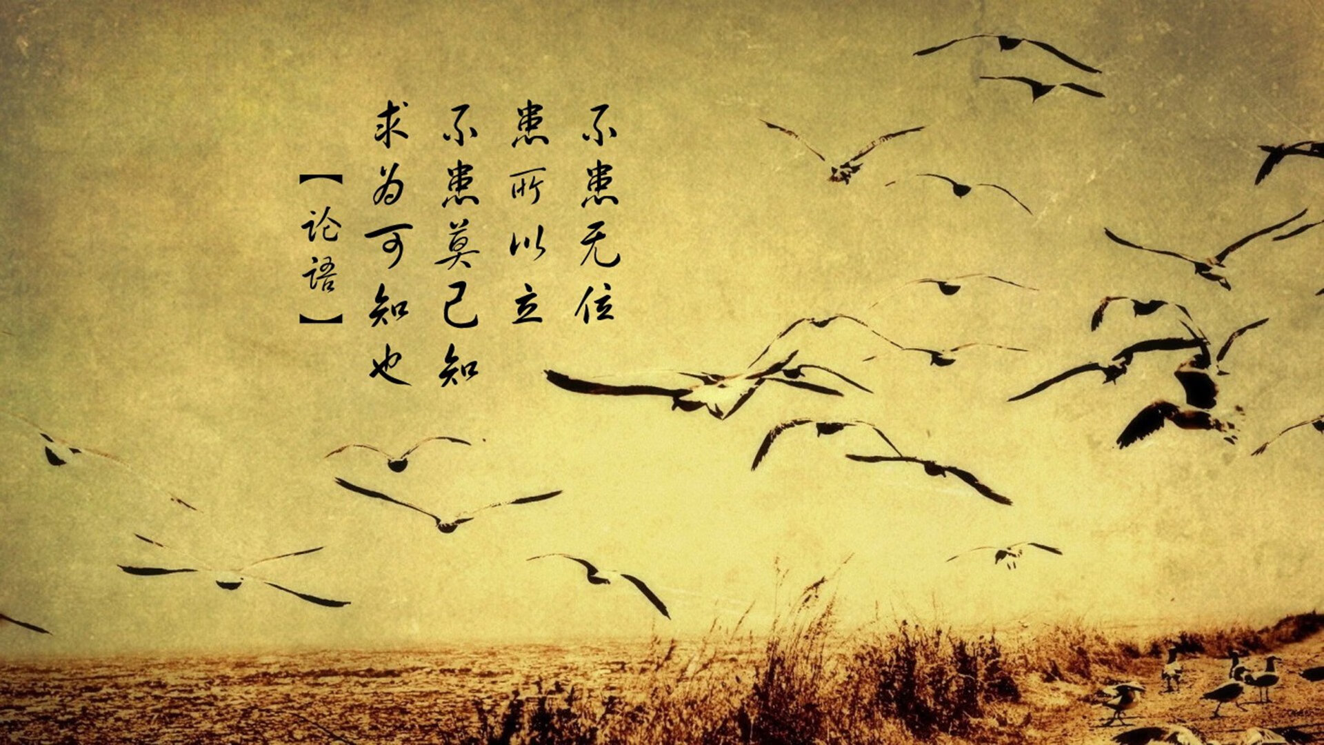 大数据分析:数据帮你看懂比赛战局,赛事数据分析