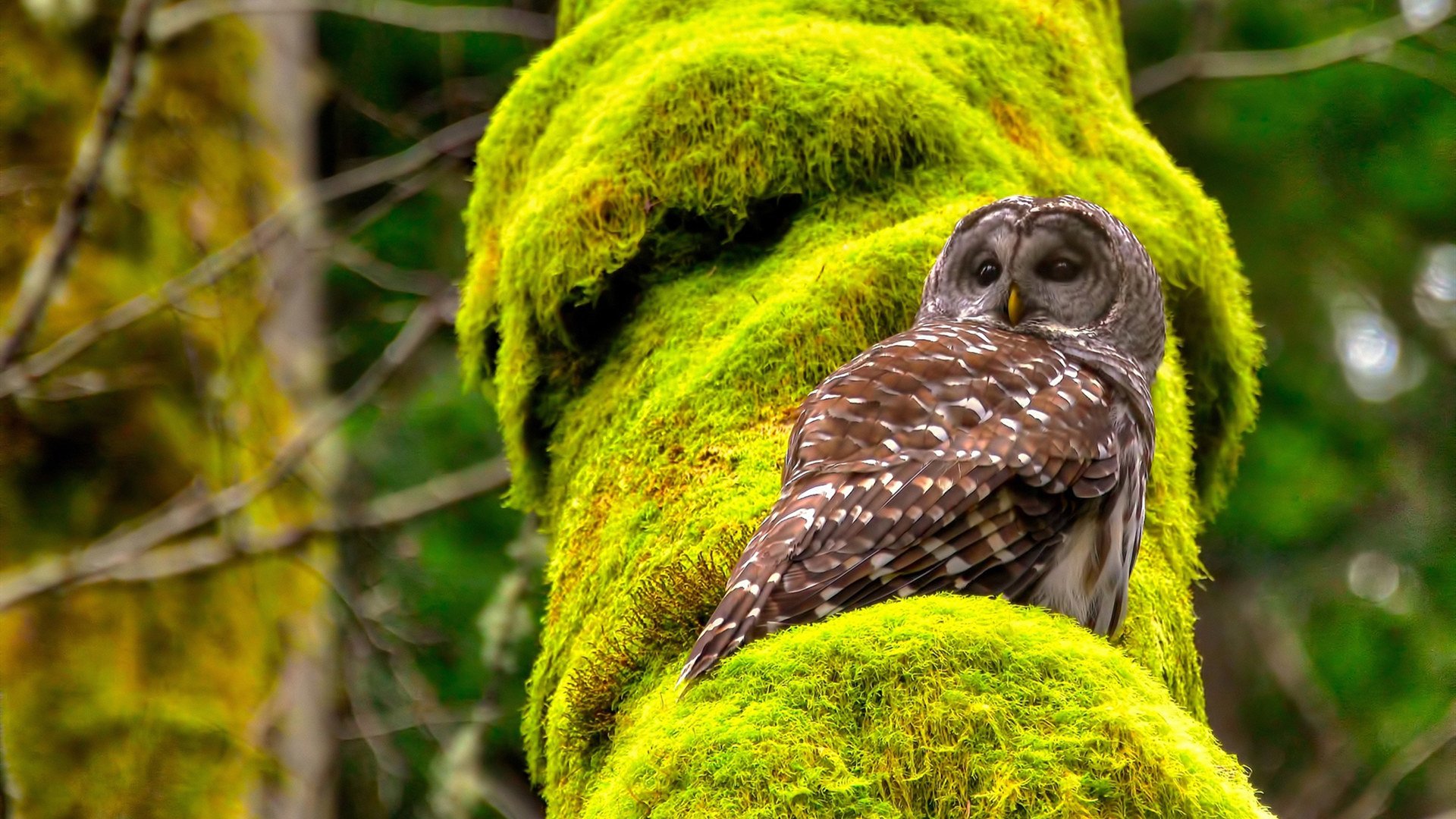 九游下载官网-数字体育平台助力青少年科学训练，提升比赛成果，数字体育项目合法吗