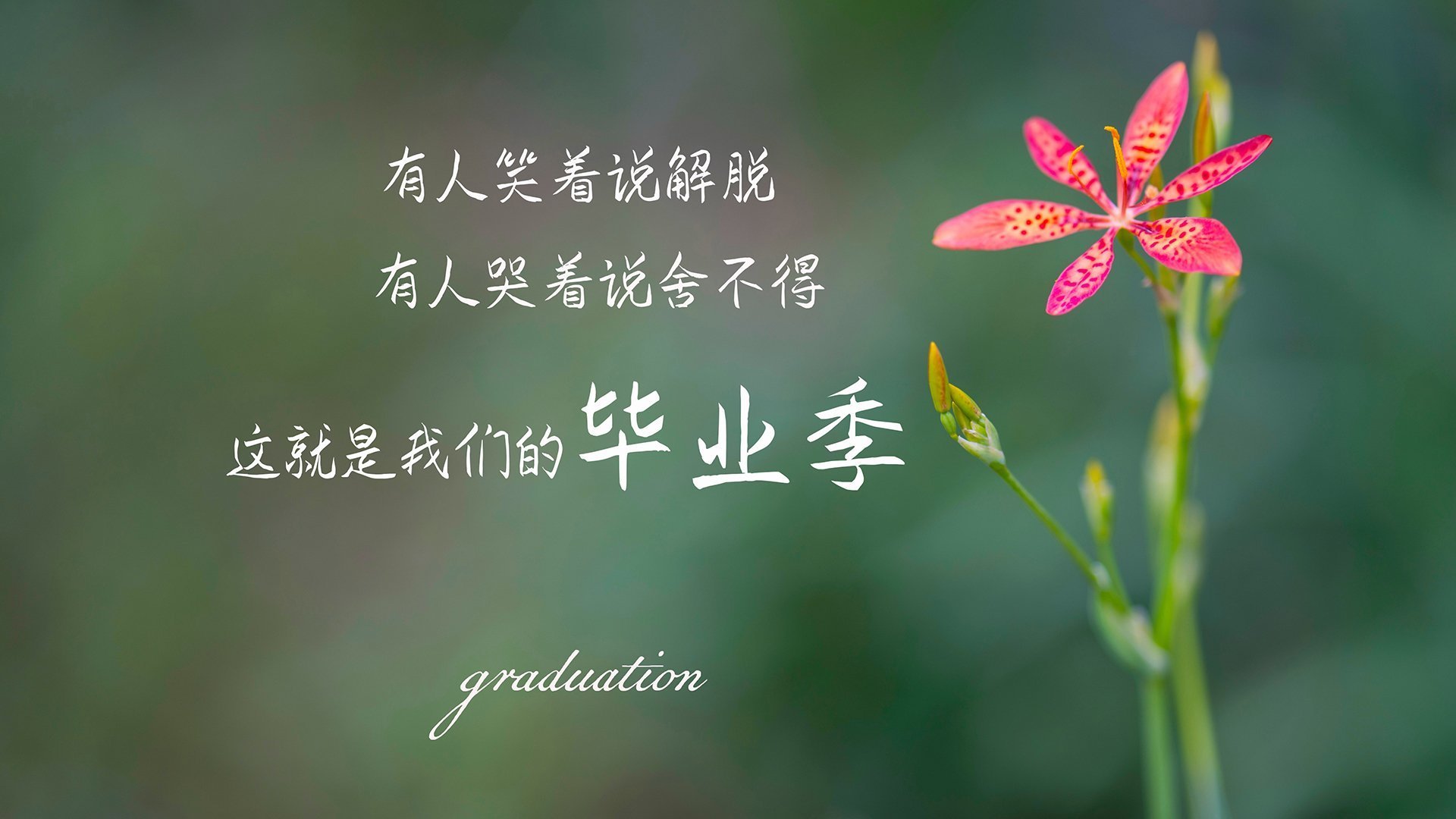 九游下载安装-欧冠顶级战术：教练的布局与智谋对决，欧冠足球教练