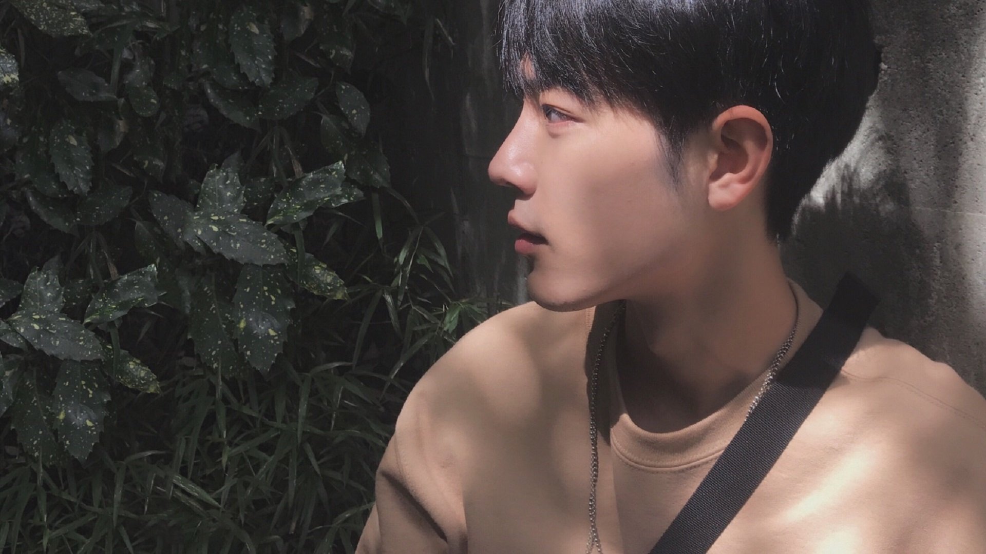 本土选手爆发:在家门口书写奇迹