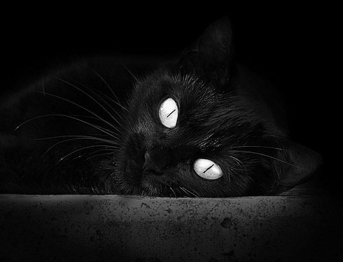 瓦伦西亚找回状态，迎来久违胜利，瓦伦西亚视频