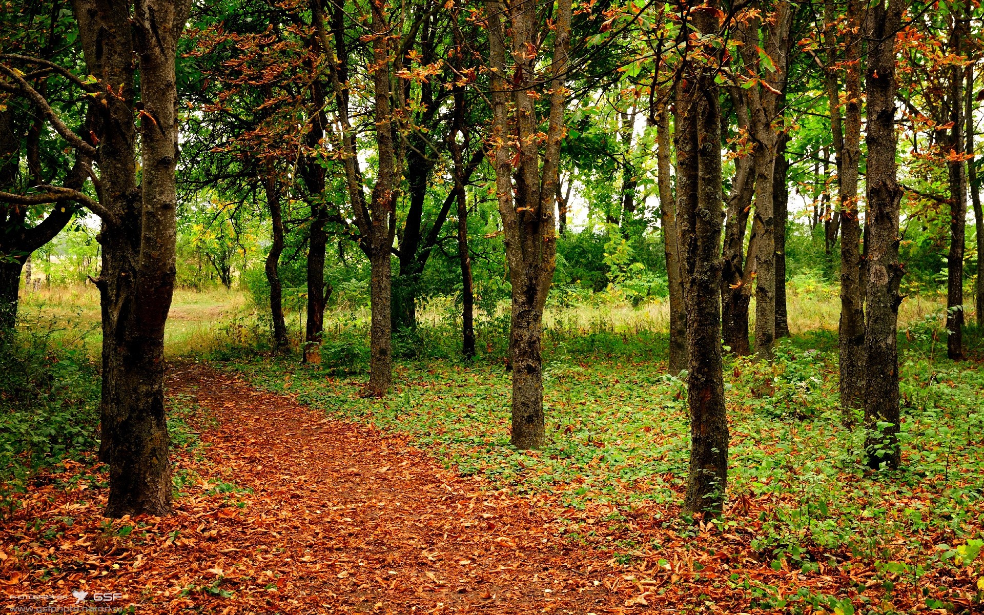 九游娱乐官网 (JIUYOU)-瑞士马术协会授予皮乌斯·施维泽“年度最佳障碍赛骑手”称号。