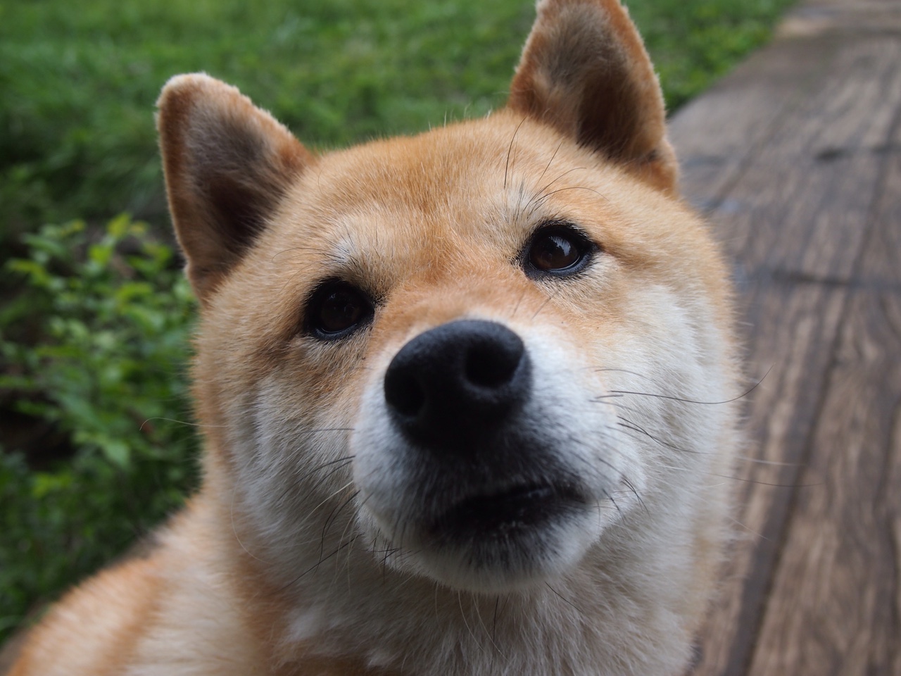 九游电脑版-穿越火线 战队间战术博弈升级，穿越火线战队三阶段