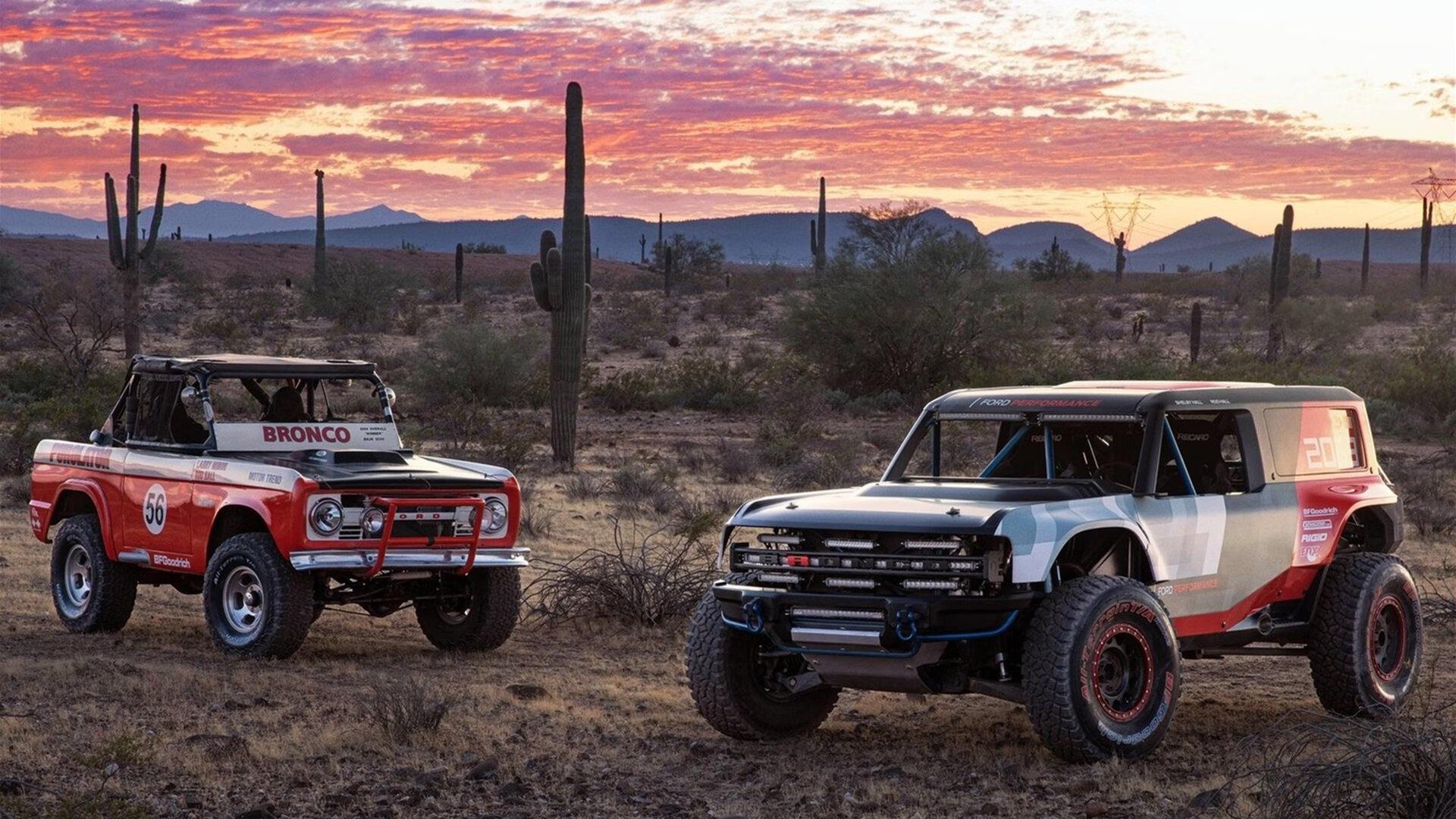 篮球场馆综合服务能力显著提升,篮球场馆运营管理办法