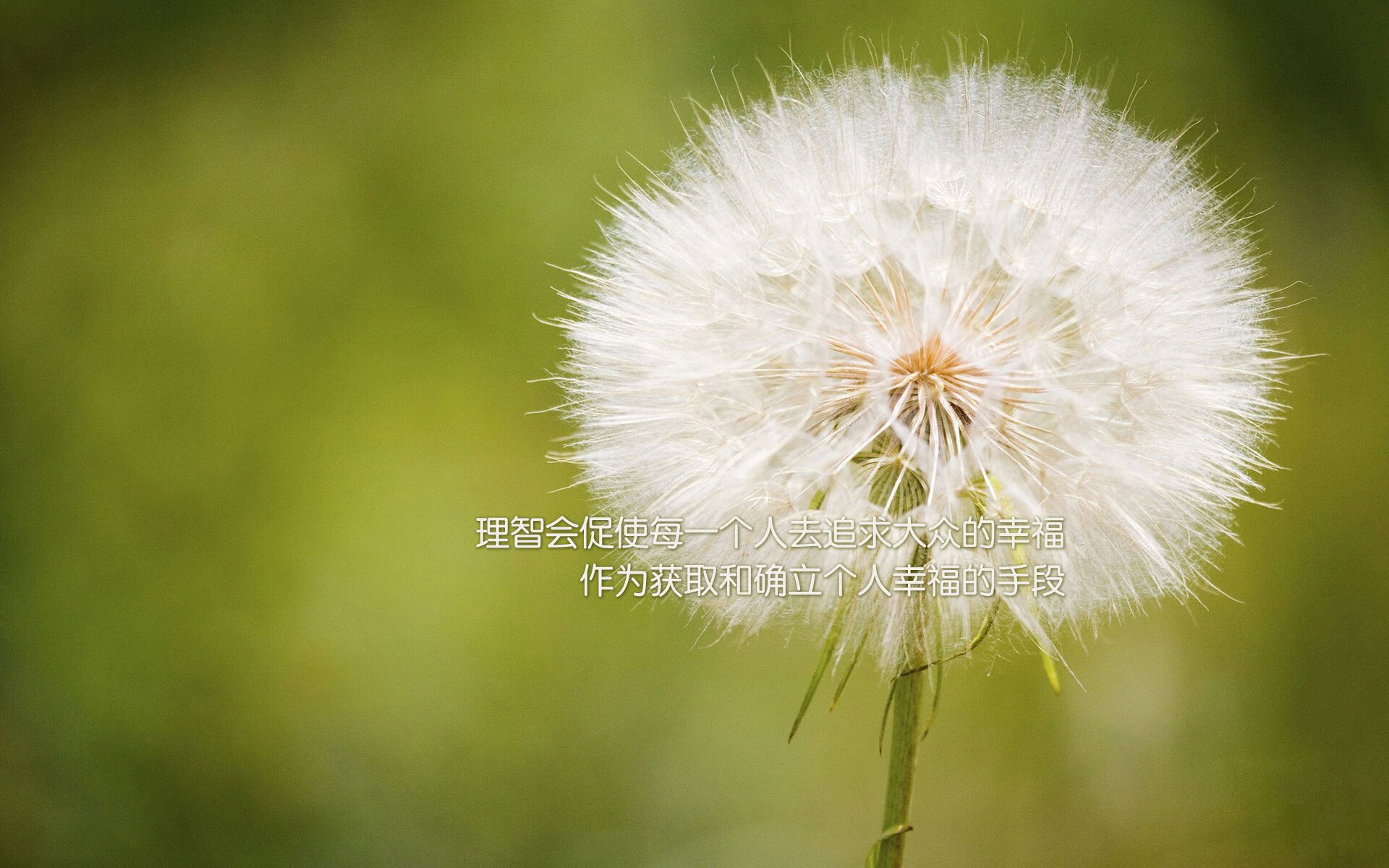 青少年“梦想助跑”篮球公益在西安持续火热，弘扬青春正能量，青少年篮球宣传口号