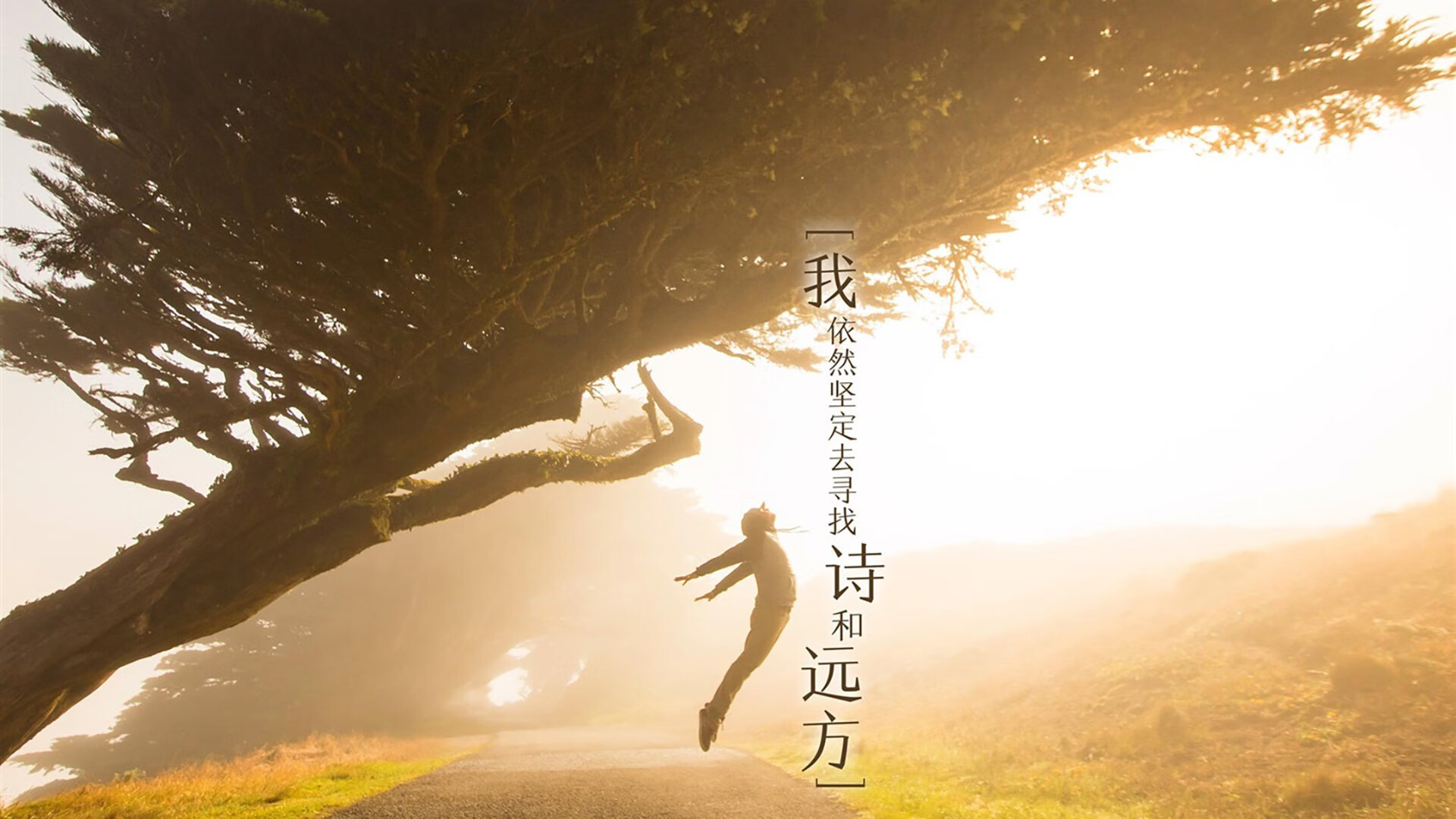 青年力量:青年球员带来的新风尚,何为青年力量