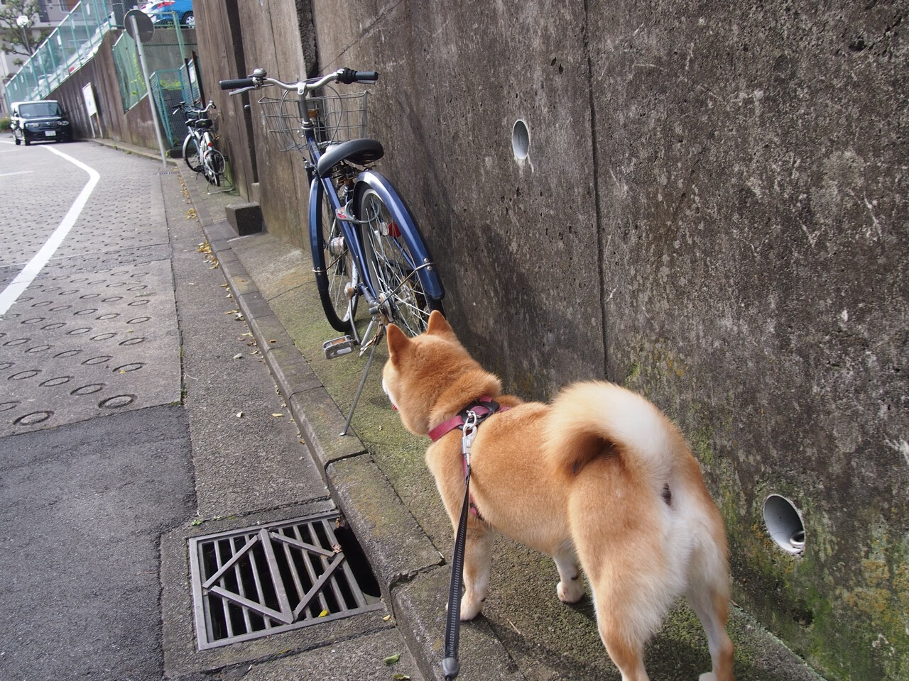 FaZe助力推广LOL电竞文化,英雄联盟电竞发布会在哪个城市