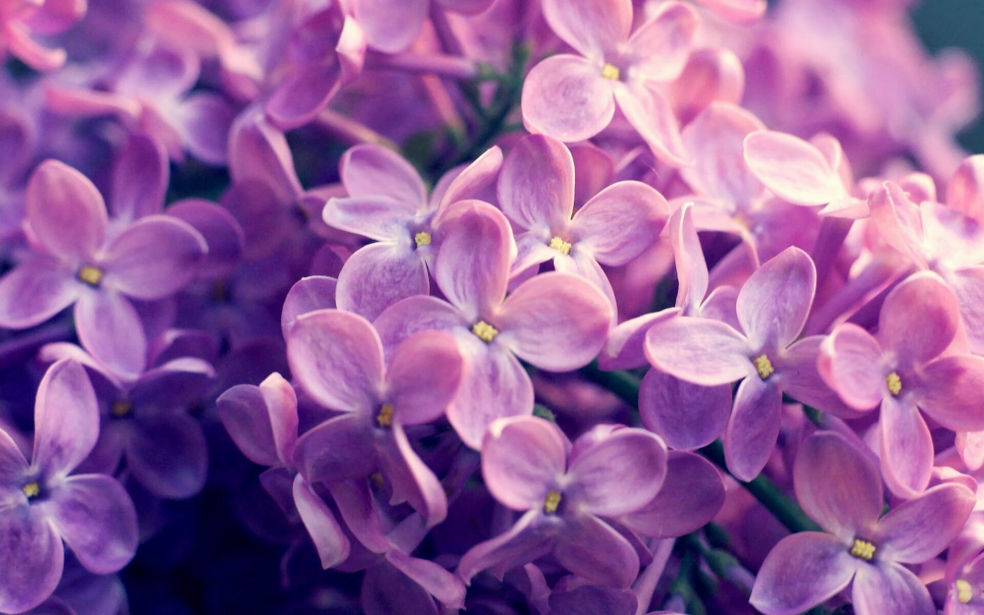 Gen.G赛事直播平台合作升级，gsl比赛直播