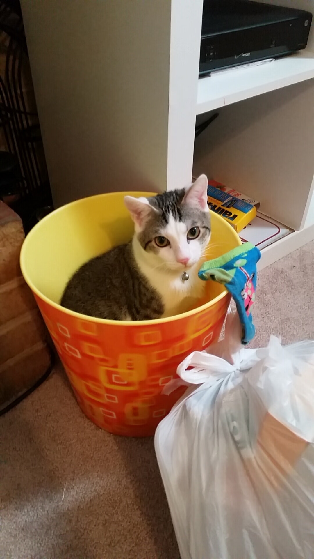 创纪录橄榄球传球次数刷新联盟数据，橄榄球传球教学视频