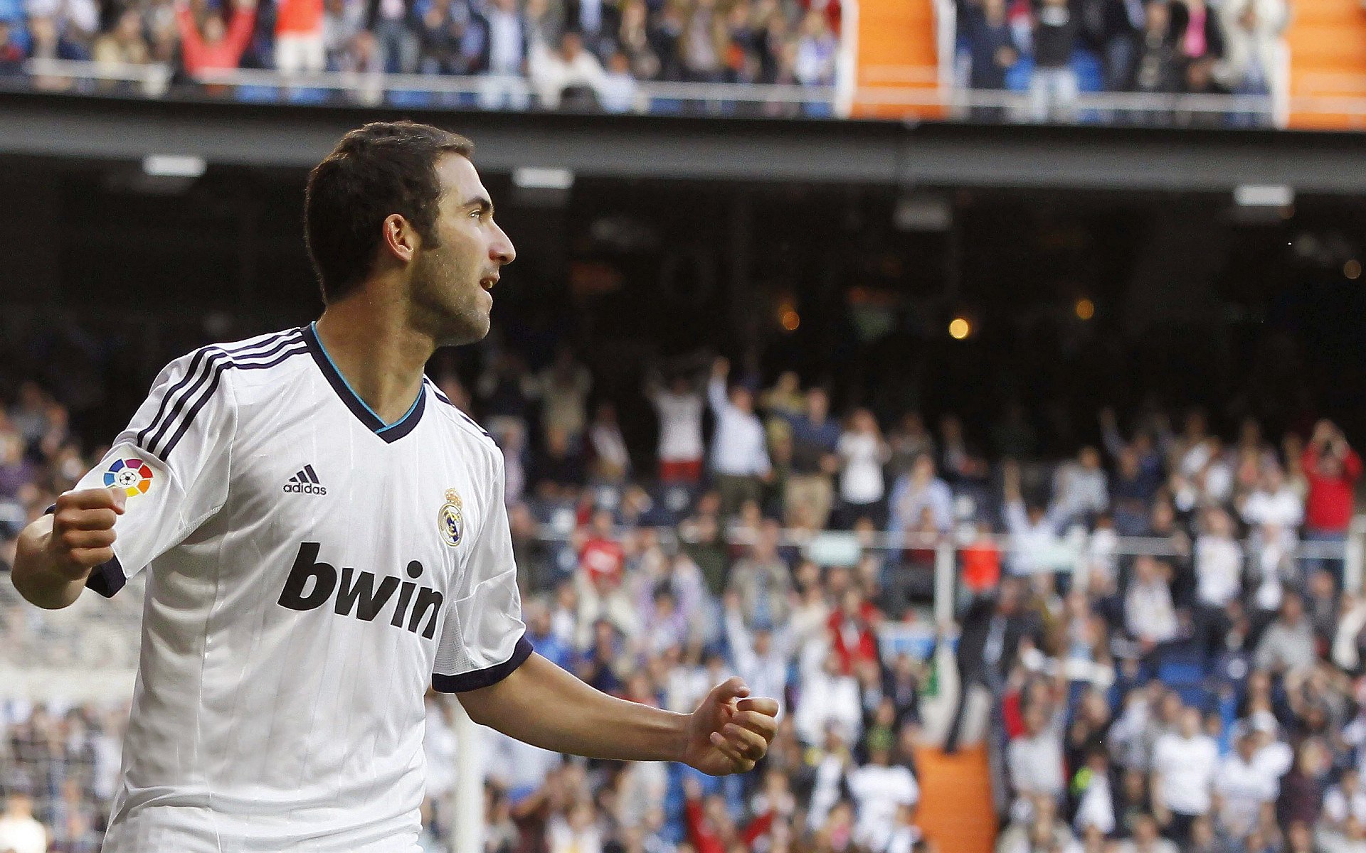 广东队主帅获赞扬,球队士气高涨,广东队主力是谁