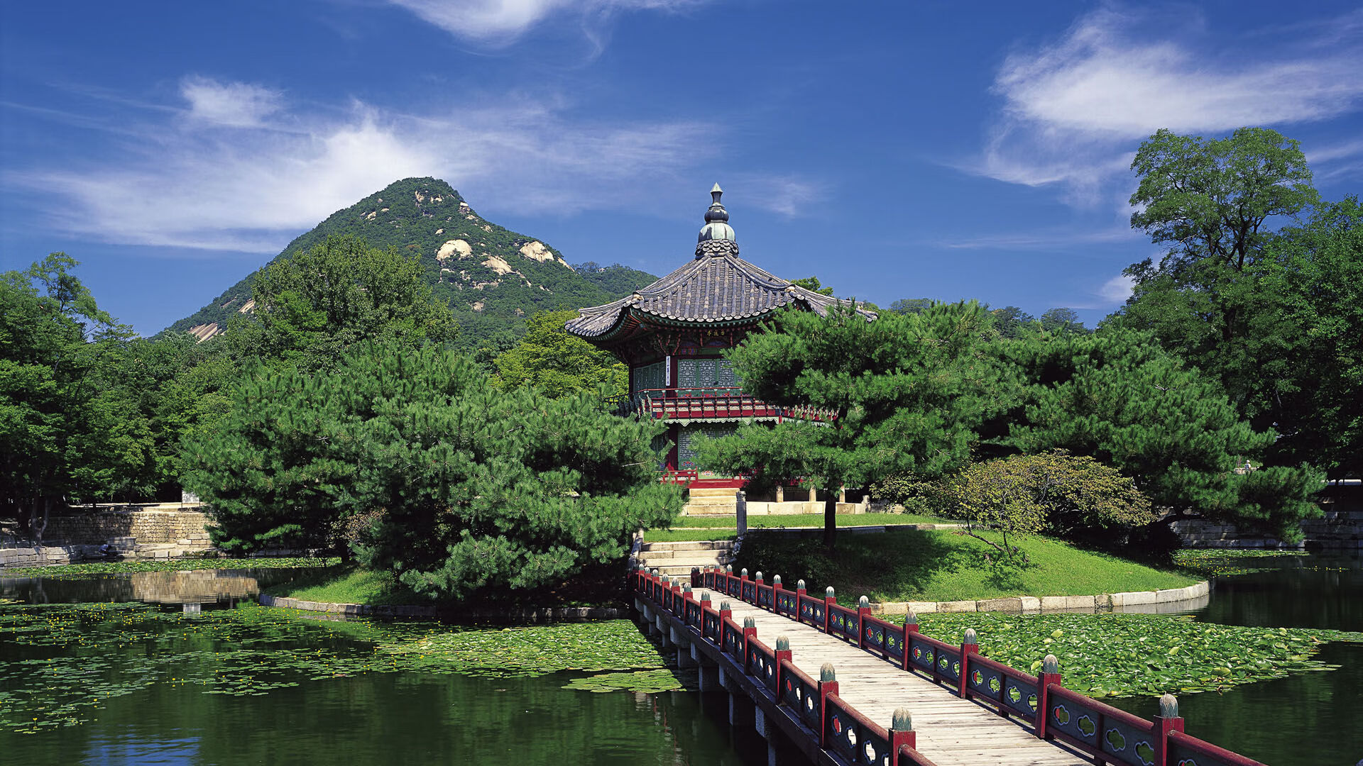 库兹马诺维奇在巴黎奥运会手球比赛中屡次扑救对方单刀球,库兹马首发