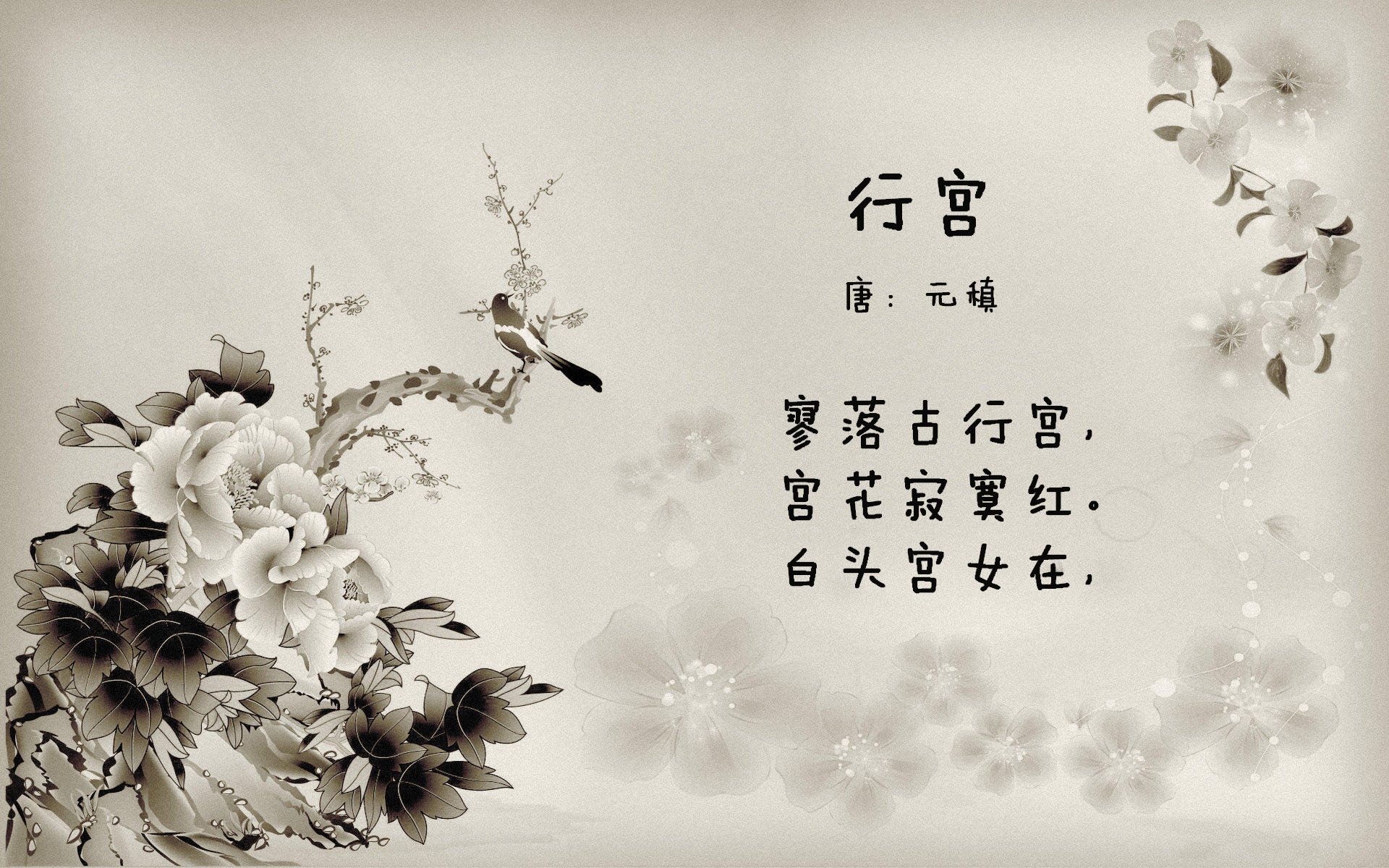 荷兰在欧洲预选赛中斩获胜利——球迷热情相挺,荷兰欧洲杯预选赛比赛结果