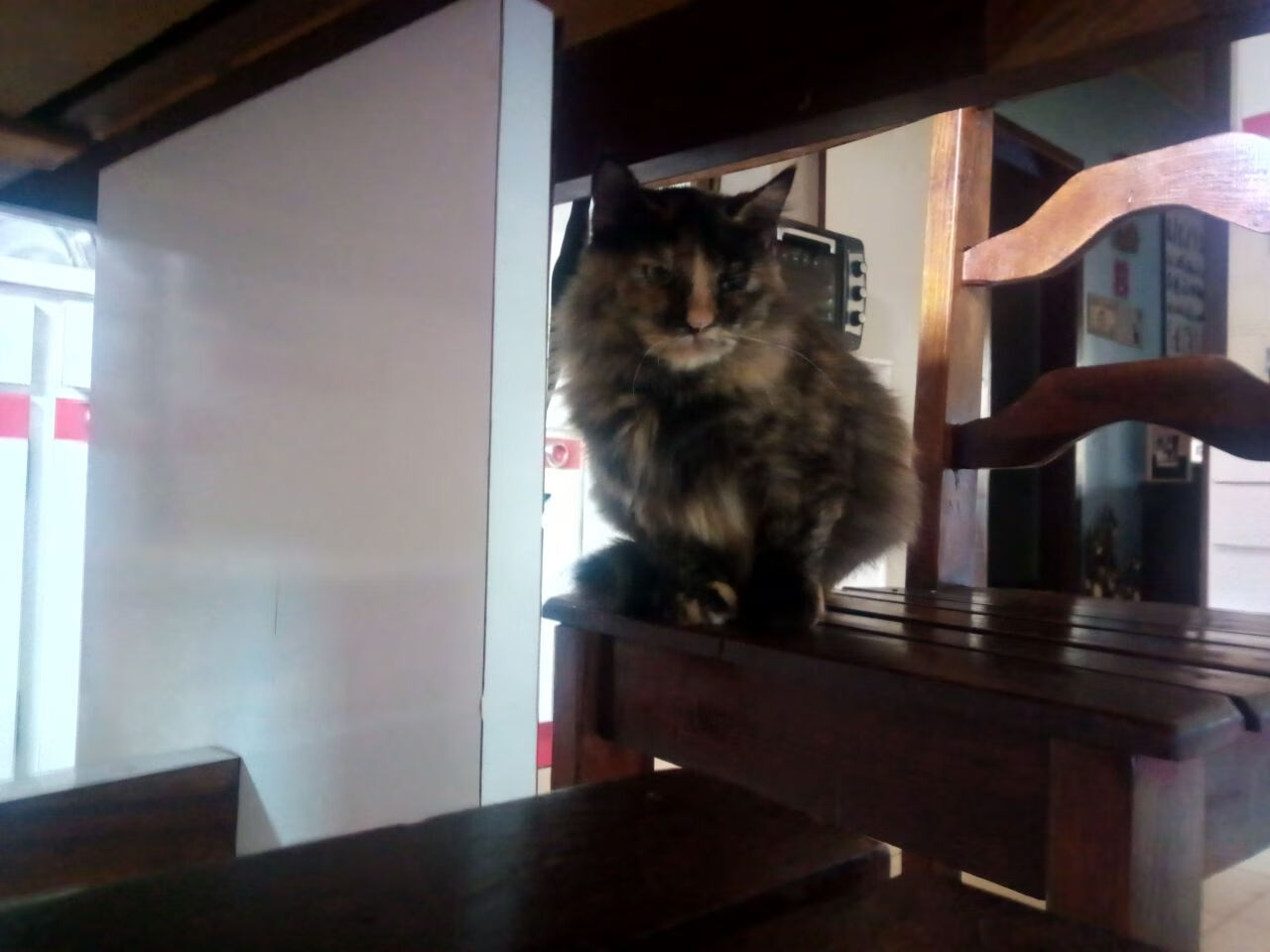 中国足球比赛场面控制指数分析，中国足球场次