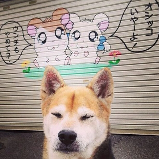 体育政策法规实施反馈与调整建议,体育政策法规实施反馈与调整建议怎么写