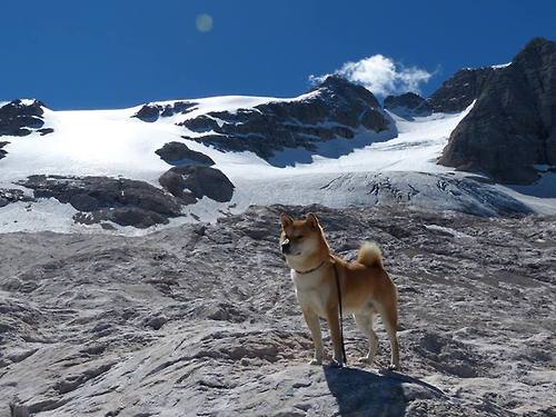 篮球运动员专项体能训练技术与监控体系,篮球体能系统训练计划