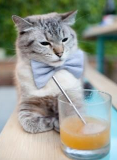 篮球运动员竞技状态动态监控系统研究，篮球比赛状态