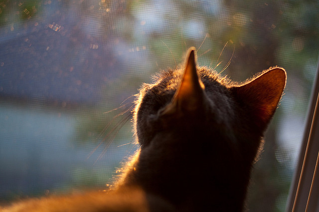 西甲球队利用热区密度图调整防守站位策略