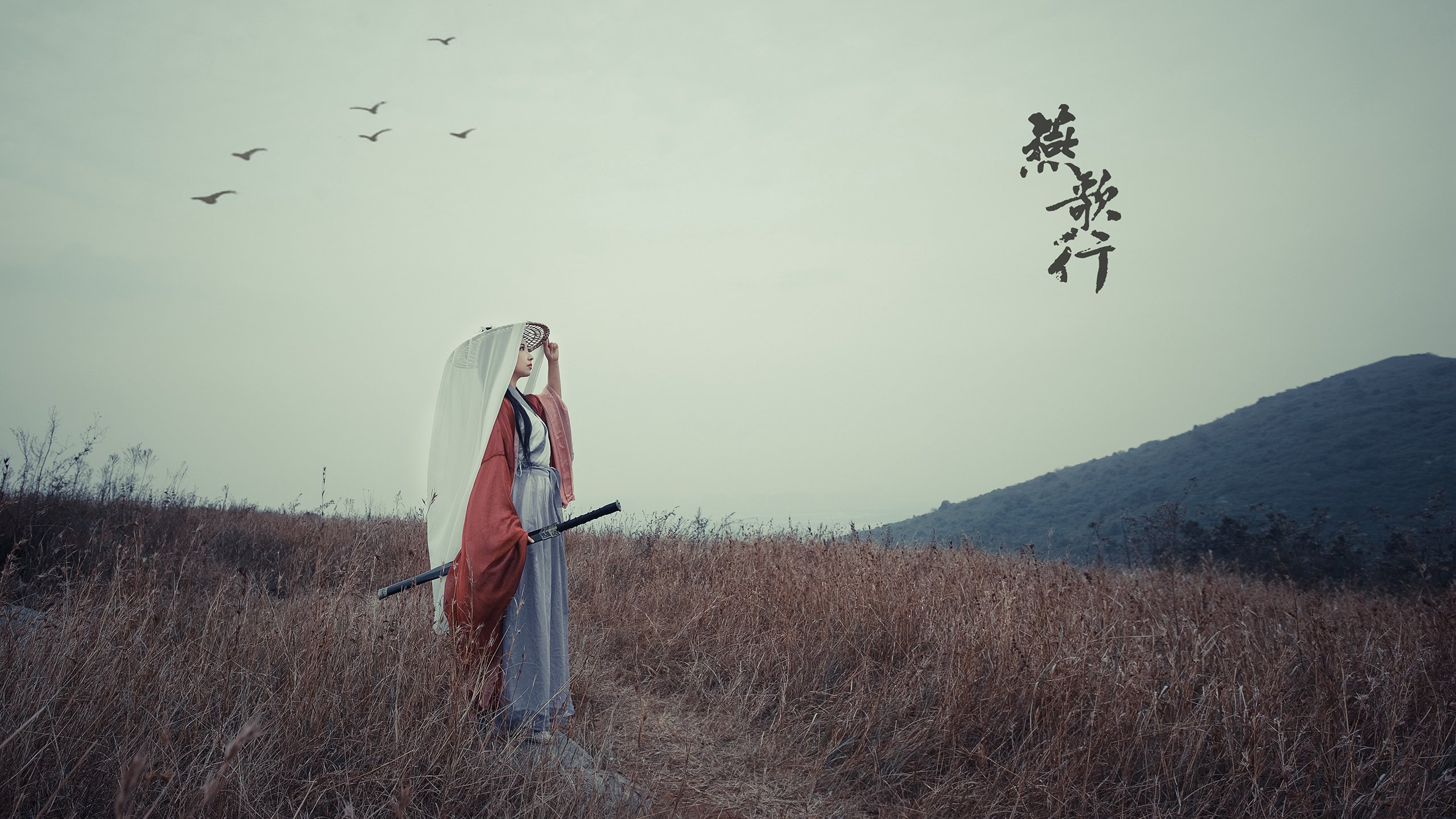 亚洲杯国家队出战 球迷期待激情点燃,亚洲杯国家足球队