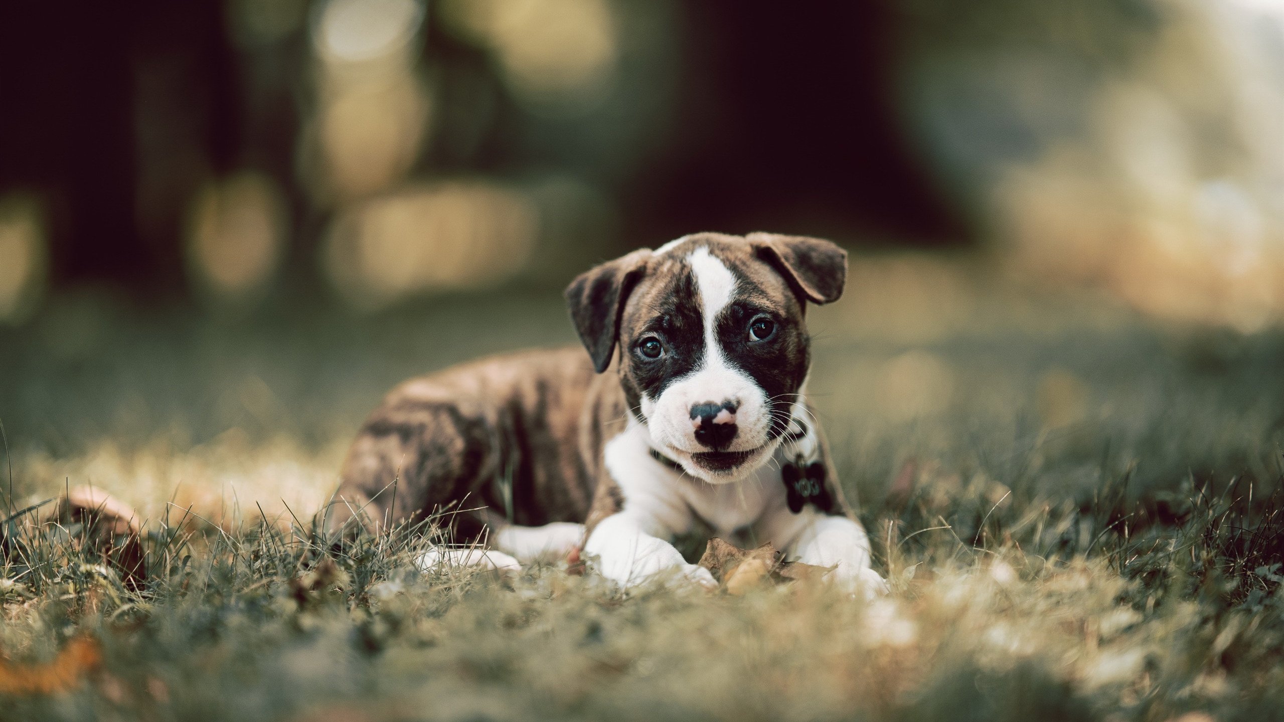 体育新闻中心启动年度运营规划,体育新闻工作