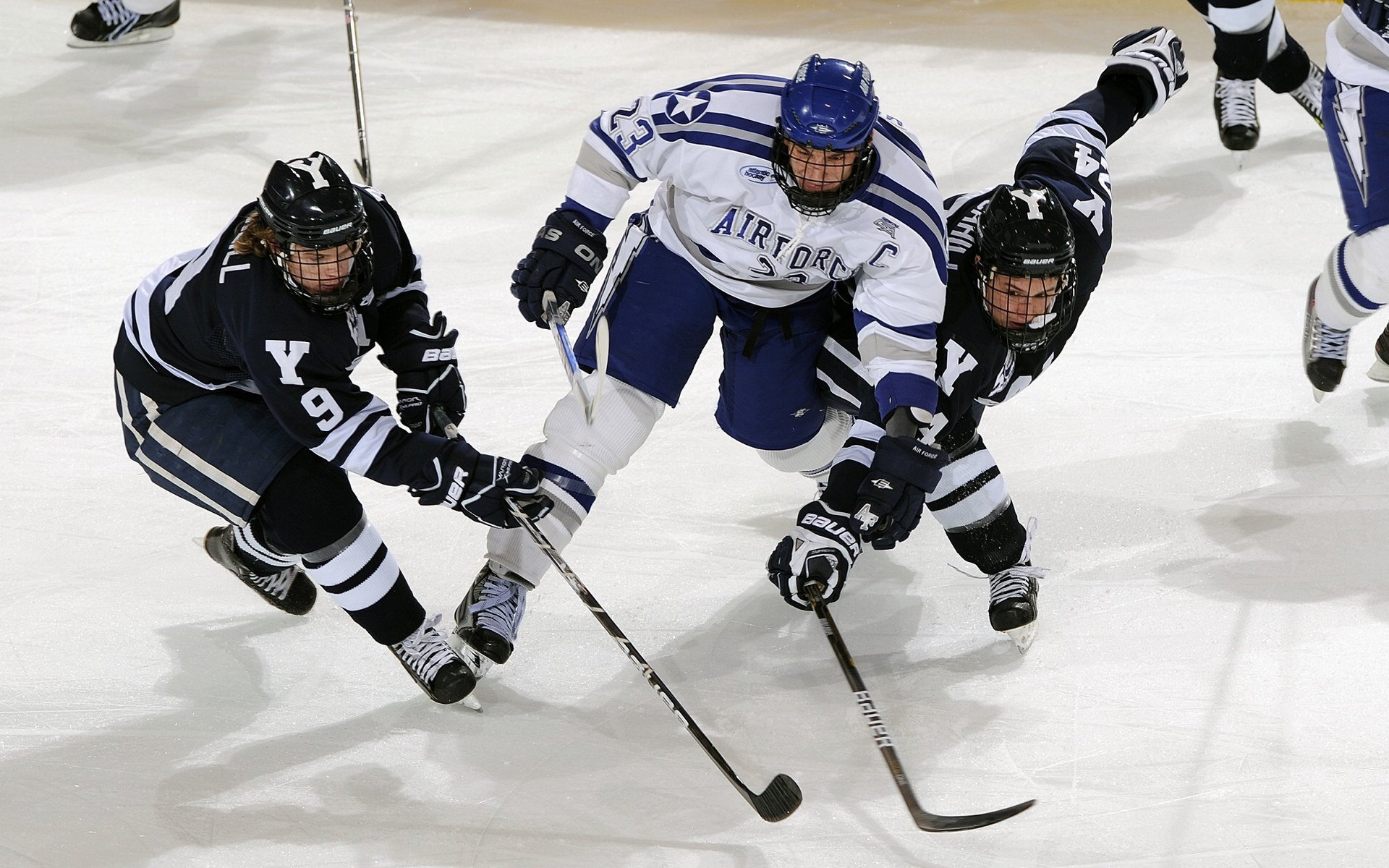 体育特色高中示范校名单公布，体育特色学校