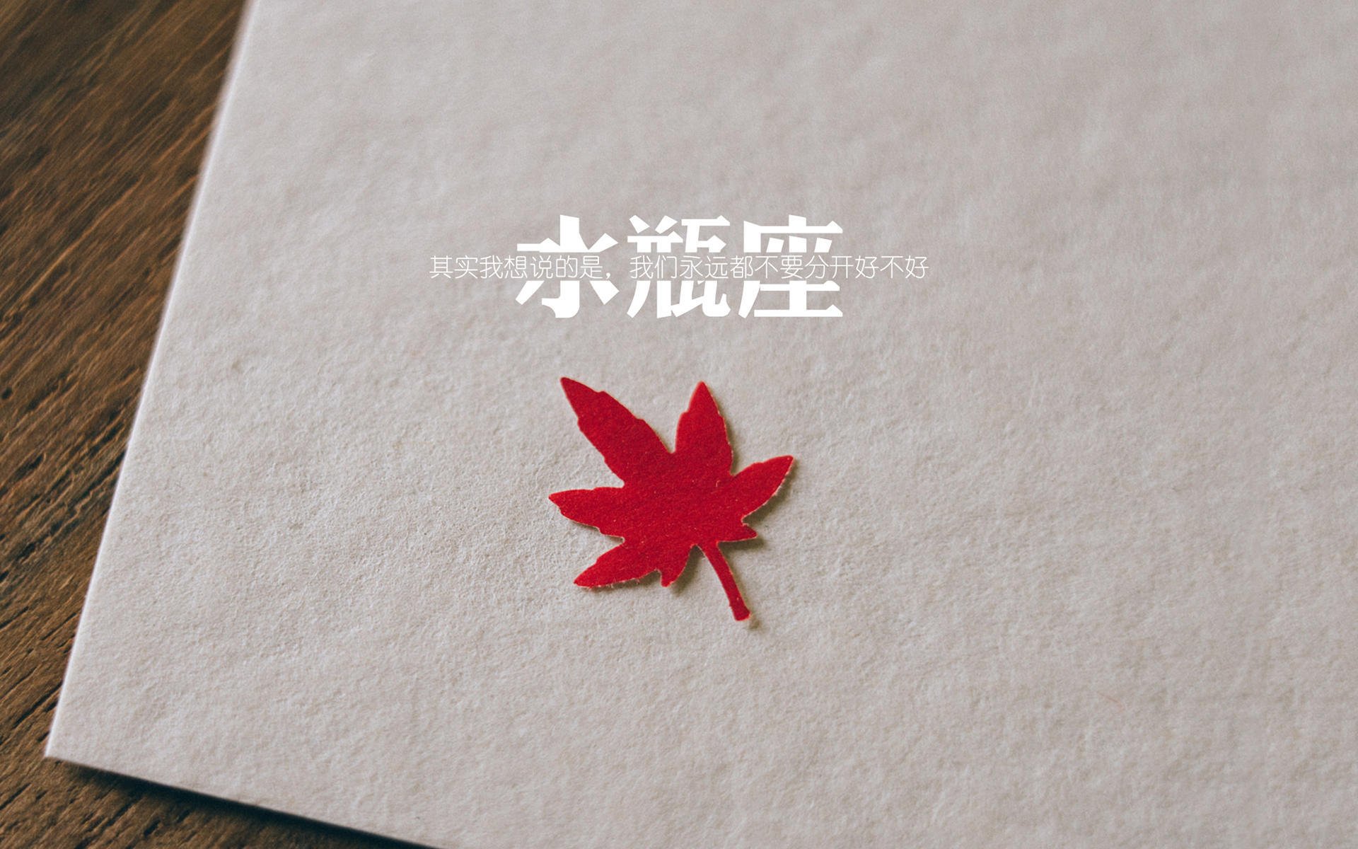 山西龙狮进攻策略日益成熟组织流畅稳定，龙狮运动的现状与未来的发展