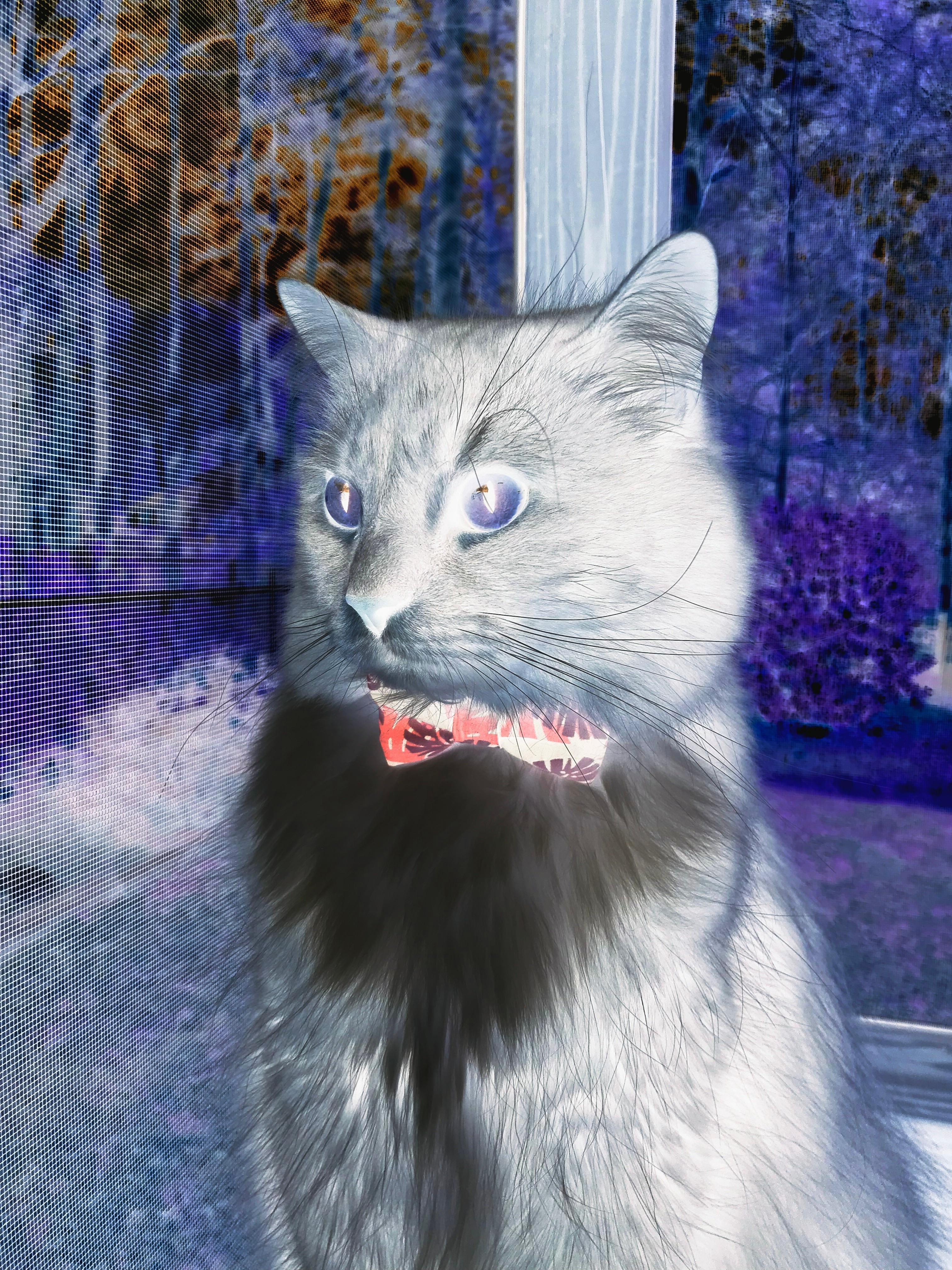 九游APP官网-该项目选手划频稳定性提高