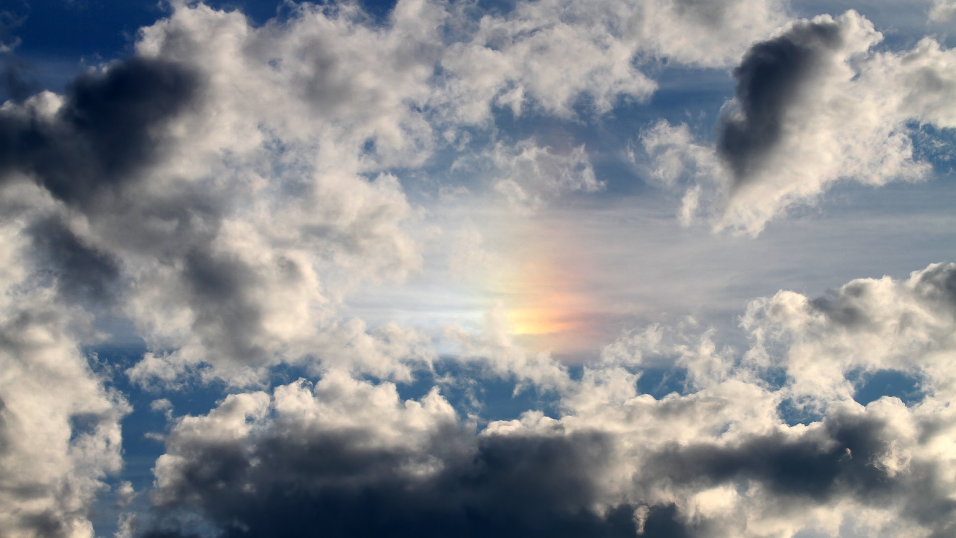 Jiuyou-体育赛事场馆配套设施全面升级改造，体育比赛场馆服务质量规范