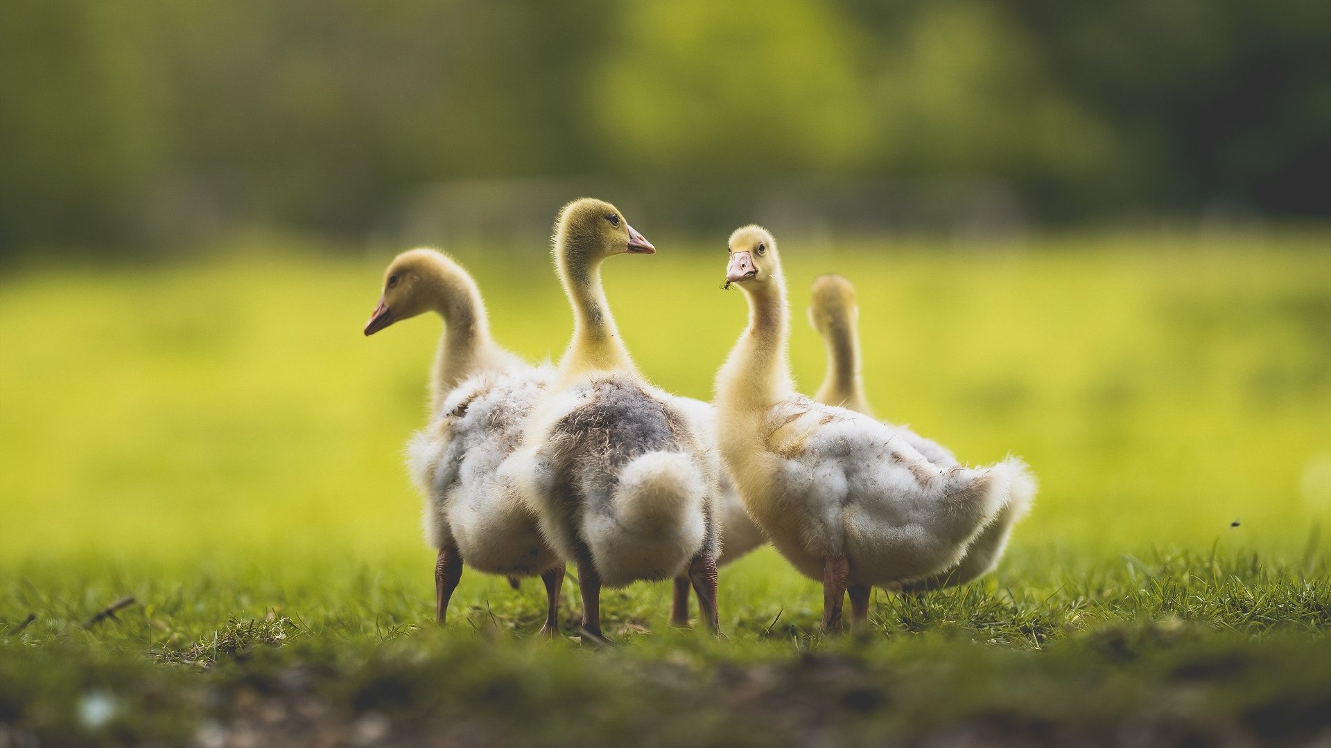 国家体育装备中心发布冬季项目训练服标准规范，冬季体育训练服是什么样的