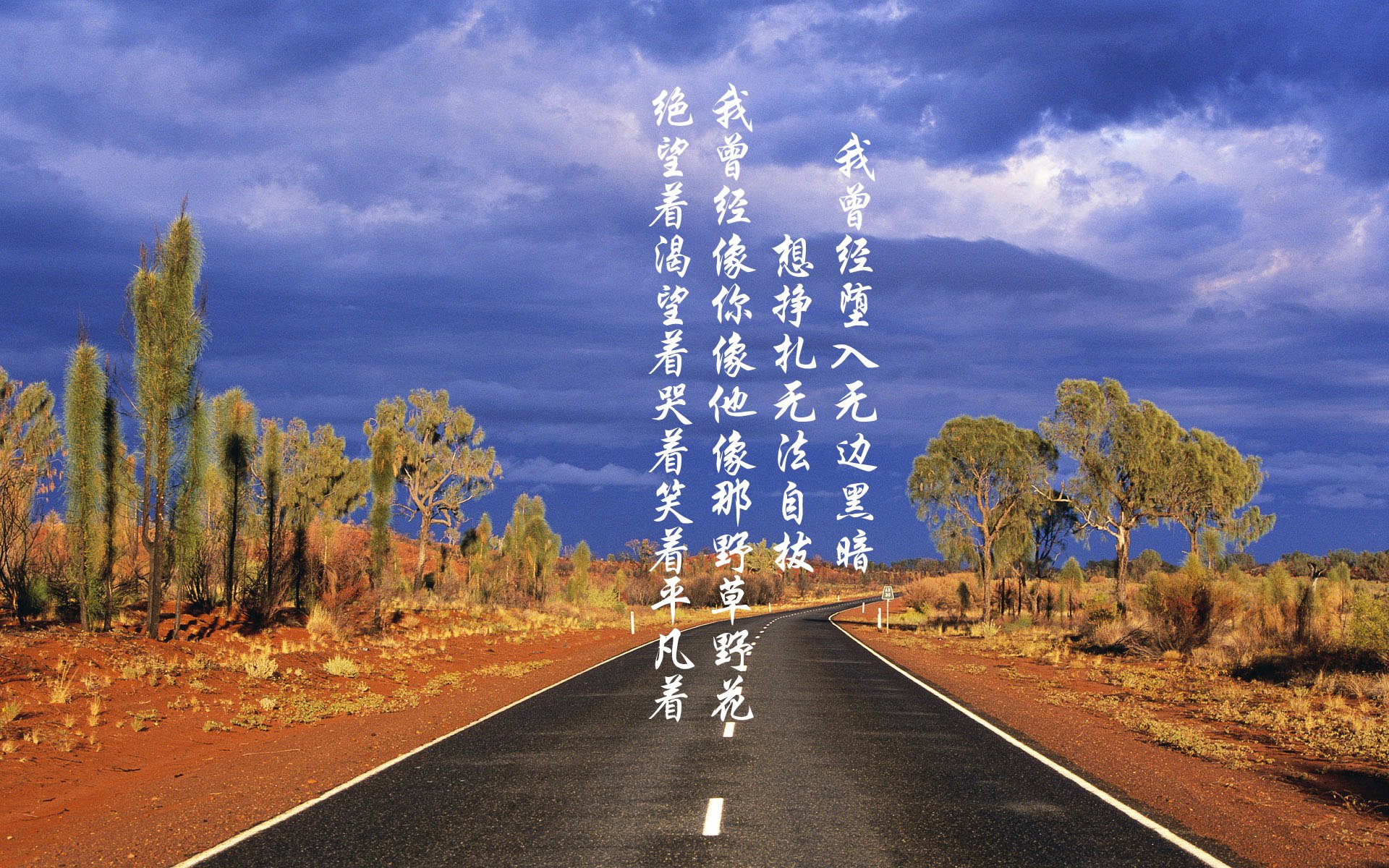 国家队优化远程观摩机制推动国内外战术同步