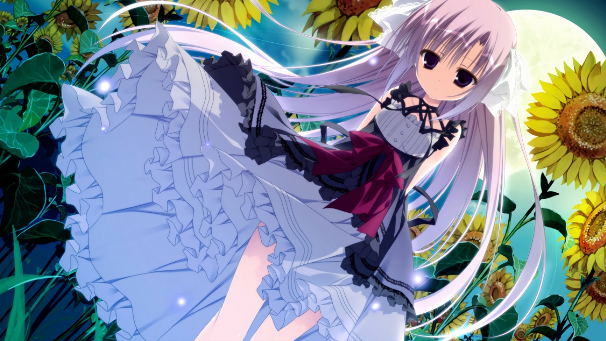 突尼斯男篮在非洲锦标赛中夺冠，迎来新黄金期