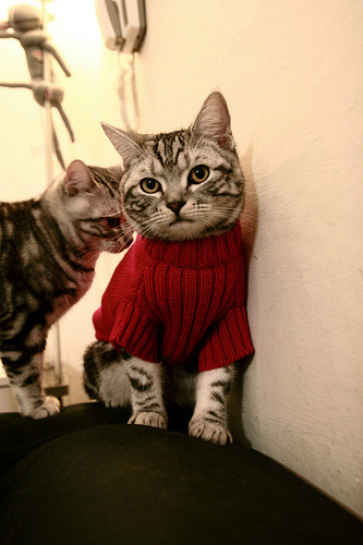 英超冲刺剧：胜负悬念在最后一刻！，英超精彩